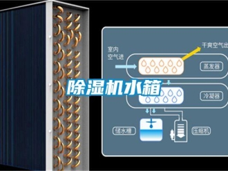 企業新聞除濕機水箱