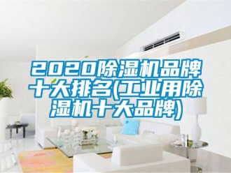 常見問題2020除濕機品牌十大排名(工業用除濕機十大品牌)