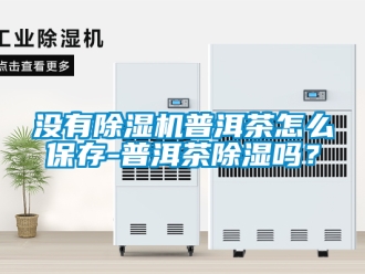 行業(yè)新聞沒有除濕機(jī)普洱茶怎么保存-普洱茶除濕嗎？