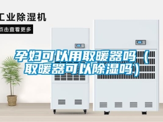 行業(yè)新聞孕婦可以用取暖器嗎（取暖器可以除濕嗎）