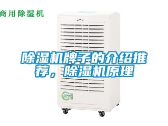 行業新聞除濕機牌子的介紹推薦，除濕機原理