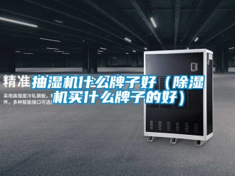 企業新聞抽濕機什么牌子好（除濕機買什么牌子的好）