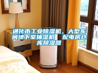 常見問題通化市工業除濕機，大型車間地下室抽濕機  配電房倉庫除濕器