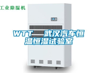 常見問(wèn)題WTT  武漢汽車恒溫恒濕試驗(yàn)室