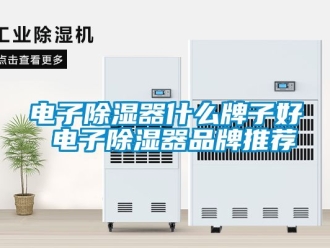 行業新聞電子除濕器什么牌子好 電子除濕器品牌推薦