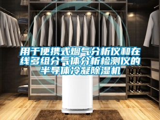 行業(yè)新聞用于便攜式煙氣分析儀和在線多組分氣體分析檢測儀的半導(dǎo)體冷凝除濕機(jī)