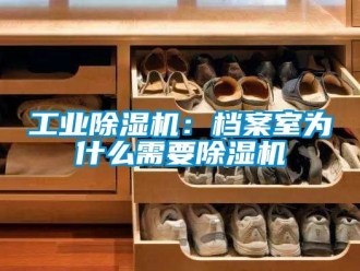 常見問題工業(yè)除濕機(jī)：檔案室為什么需要除濕機(jī)