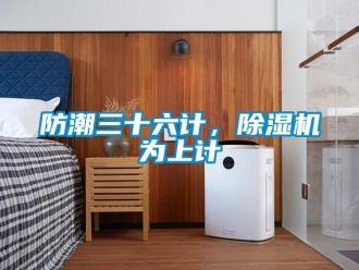 企業新聞防潮三十六計，除濕機為上計