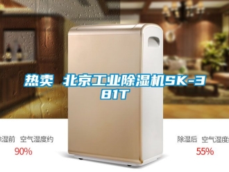 常見(jiàn)問(wèn)題熱賣(mài) 北京工業(yè)除濕機(jī)SK-381T