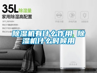 行業(yè)新聞除濕機有什么作用 除濕機什么時候用