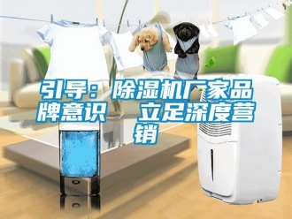 知識百科引導：除濕機廠家品牌意識  立足深度營銷