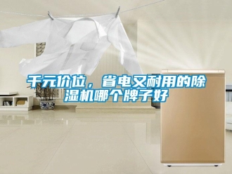 行業新聞千元價位，省電又耐用的除濕機哪個牌子好