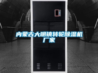 企業新聞內蒙古大明鎮轉輪除濕機廠家