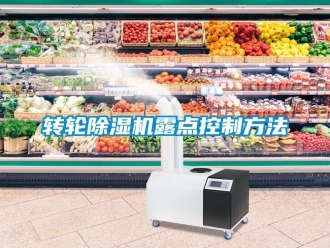 常見(jiàn)問(wèn)題轉(zhuǎn)輪除濕機(jī)露點(diǎn)控制方法