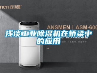 常見問題淺談工業除濕機在橋梁中的應用