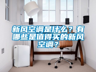 企業(yè)新聞新風空調是什么？有哪些是值得買的新風空調？