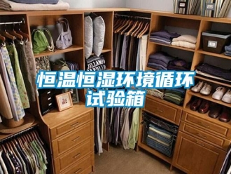 知識百科恒溫恒濕環(huán)境循環(huán)試驗(yàn)箱
