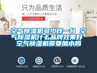 企業新聞空氣除濕機多少錢一臺 空氣除濕機什么品牌效果好 空氣除濕機需要加水嗎