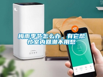常見(jiàn)問(wèn)題梅雨季節(jié)怎么辦，有它幫忙室內(nèi)回潮不用愁