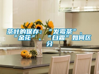 常見問題茶葉的保存：“發霉茶”、“金花”、“白霜”如何區分