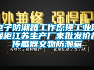 常見問題電子防潮箱工作原理工業防潮柜江蘇生產廠家批發價格傳感器文物防潮箱