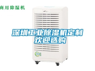 常見問題深圳工業除濕機定制 歡迎選購