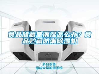 行業(yè)新聞食品儲藏室潮濕怎么辦？食品貯藏防潮除濕機(jī)