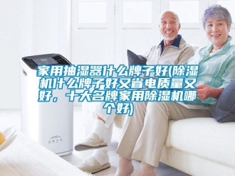 常見(jiàn)問(wèn)題家用抽濕器什么牌子好(除濕機(jī)什么牌子好又省電質(zhì)量又好，十大名牌家用除濕機(jī)哪個(gè)好)