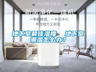 企業(yè)新聞地下室最佳濕度  地下室潮濕怎么辦？
