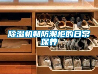 常見問題除濕機和防潮柜的日常保養