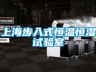 知識百科上海步入式恒溫恒濕試驗室