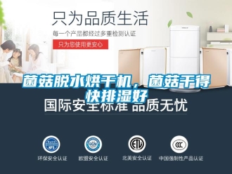 行業新聞菌菇脫水烘干機，菌菇干得快排濕好