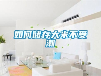 常見問題如何儲存大米不受潮