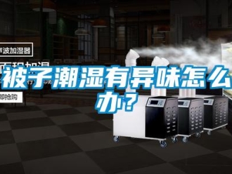 常見(jiàn)問(wèn)題被子潮濕有異味怎么辦？