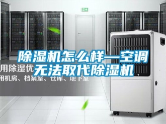 行業新聞除濕機怎么樣—空調無法取代除濕機