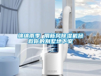 行業(yè)新聞綿綿雨季 用新風(fēng)除濕機(jī)拯救你的別墅地下室