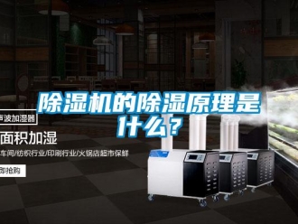 企業新聞除濕機的除濕原理是什么？