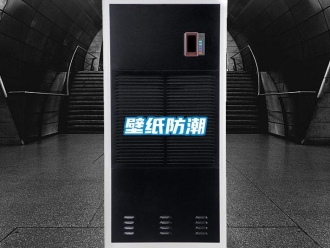 常見問題壁紙防潮