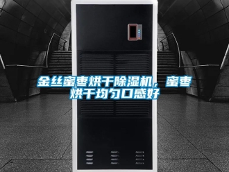 行業(yè)新聞金絲蜜棗烘干除濕機(jī)，蜜棗烘干均勻口感好
