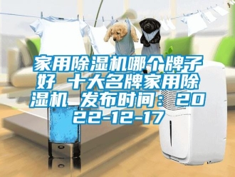 常見問題家用除濕機哪個牌子好 十大名牌家用除濕機 發布時間：2022-12-17