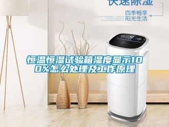 知識百科恒溫恒濕試驗箱濕度顯示100%怎么處理及工作原理