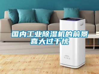 常見問題國內工業除濕機的前景喜大過于憂