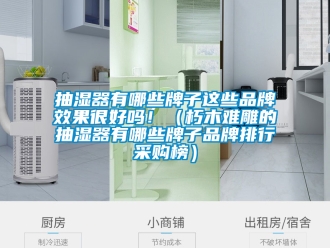 企業新聞抽濕器有哪些牌子這些品牌效果很好嗎！（朽木難雕的抽濕器有哪些牌子品牌排行采購榜）