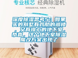 企業(yè)新聞深度除濕思考5：如果買的別墅有雞肋的閣樓，又有操心的地下室，恭喜，這個地下室除濕魔改方案出現了