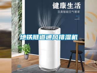 企業(yè)新聞地鐵隧道通風排濕機