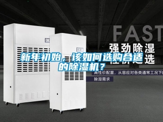 常見問題新年初始，該如何選購合適的除濕機？