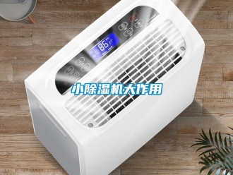 知識百科小除濕機大作用
