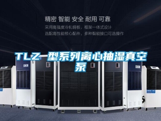 企業(yè)新聞TLZ 型系列離心抽濕真空泵