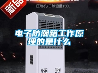 常見問題電子防潮箱工作原理的是什么