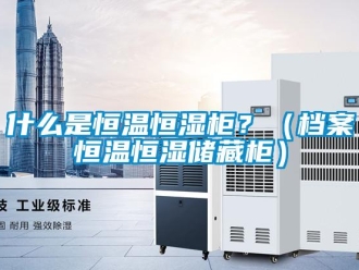 知識(shí)百科什么是恒溫恒濕柜？（檔案恒溫恒濕儲(chǔ)藏柜）